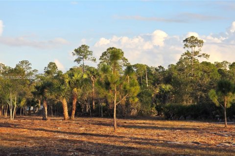 Terreno en venta en Clewiston, Florida № 2006074 - foto 6