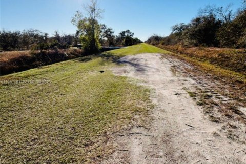 Купить земельный участок в Окичоби, Флорида № 2158610 - фото 3