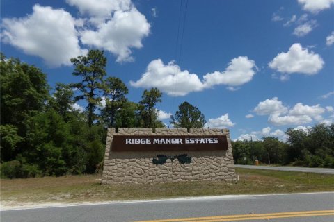 Land in Webster, Florida № 2159414 - photo 5