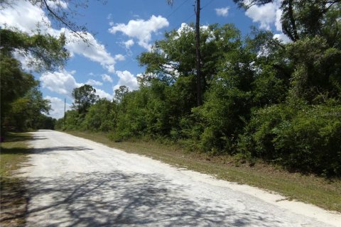Land in Webster, Florida № 2159414 - photo 3