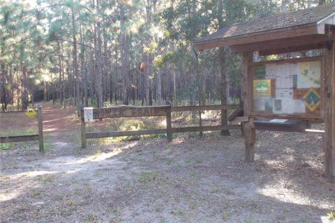 Land in Webster, Florida № 2159414 - photo 9