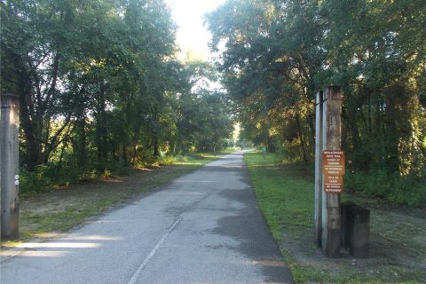 Land in Webster, Florida № 2159414 - photo 10