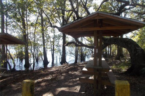 Land in Webster, Florida № 2159414 - photo 12