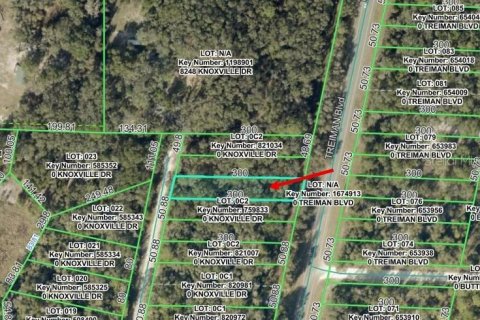 Land in Webster, Florida № 2159414