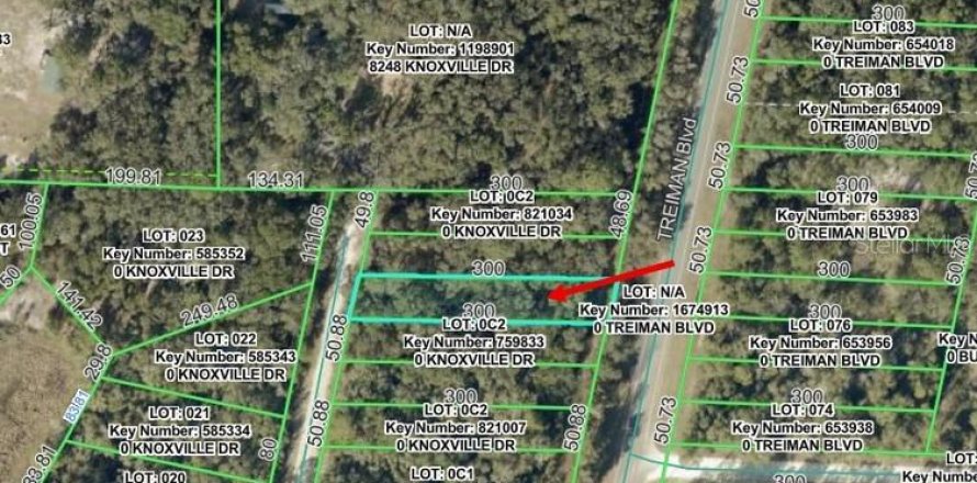 Land in Webster, Florida № 2159414