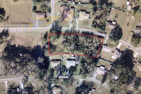 Land in Ocala, Florida № 2384434 - photo 2