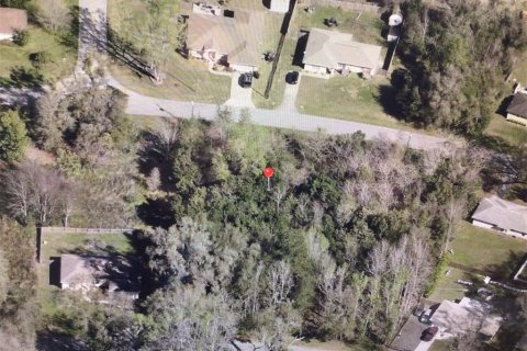Land in Ocala, Florida № 2384434 - photo 5