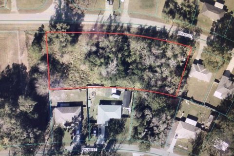 Land in Ocala, Florida № 2384434