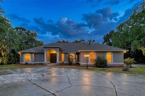 House in Hernando, Florida 4 bedrooms, 313.55 sq.m. № 2112457