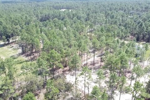 Terrain à vendre à Ocala, Floride № 1717181 - photo 5