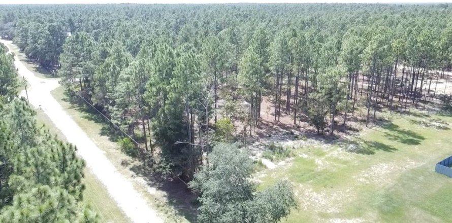 Terreno en Ocala, Florida № 1717181
