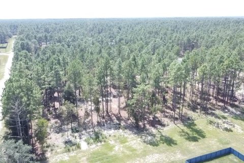 Terrain à vendre à Ocala, Floride № 1717181 - photo 4