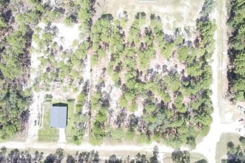 Terrain à vendre à Ocala, Floride № 1717181 - photo 19
