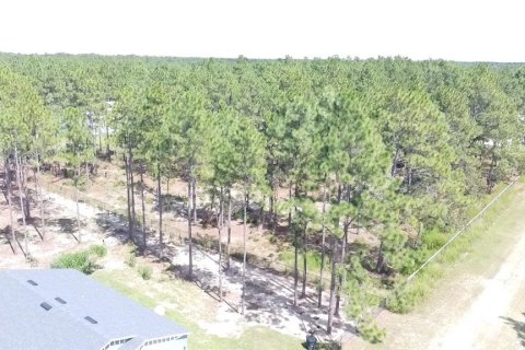 Terrain à vendre à Ocala, Floride № 1717181 - photo 11