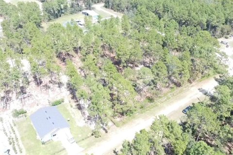 Terrain à vendre à Ocala, Floride № 1717181 - photo 20