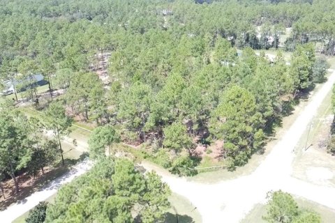 Terrain à vendre à Ocala, Floride № 1717181 - photo 3