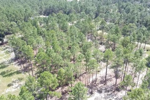 Terrain à vendre à Ocala, Floride № 1717181 - photo 6