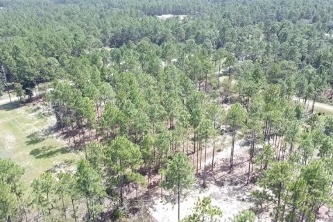 Terrain à vendre à Ocala, Floride № 1717181 - photo 7
