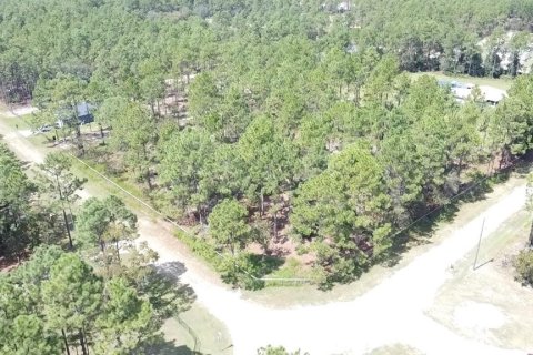 Terrain à vendre à Ocala, Floride № 1717181 - photo 2