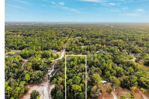 Купить земельный участок в Бруксвилл, Флорида № 1435815 - фото 3