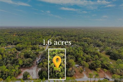 Land in Brooksville, Florida № 1435815 - photo 1