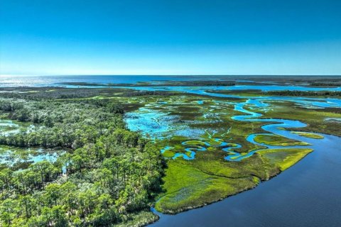 Terreno en venta en Cedar Key, Florida № 1634394 - foto 14