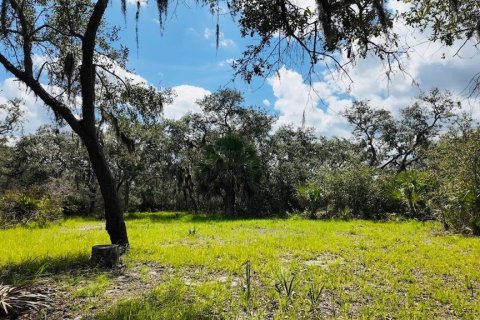 Terreno en venta en Cedar Key, Florida № 1634394 - foto 20