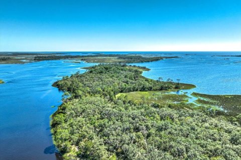 Terreno en venta en Cedar Key, Florida № 1634394 - foto 15