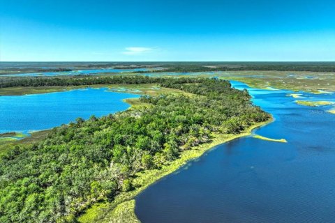 Terreno en venta en Cedar Key, Florida № 1634394 - foto 8