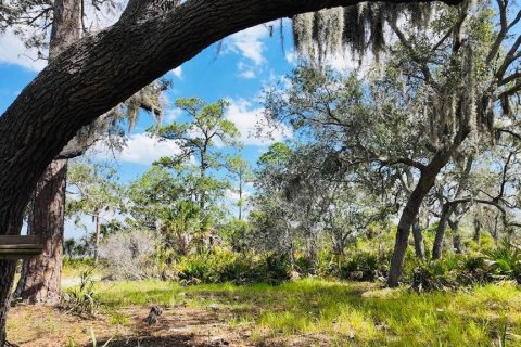 Terreno en venta en Cedar Key, Florida № 1634394 - foto 23