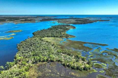 Terreno en venta en Cedar Key, Florida № 1634394 - foto 3