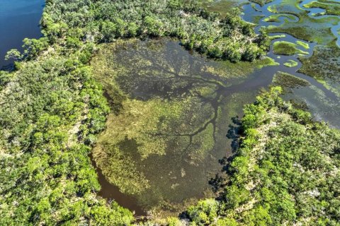 Terreno en venta en Cedar Key, Florida № 1634394 - foto 4