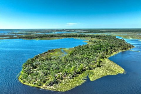 Terreno en venta en Cedar Key, Florida № 1634394 - foto 6