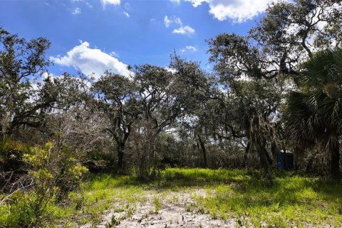 Terreno en venta en Cedar Key, Florida № 1634394 - foto 19