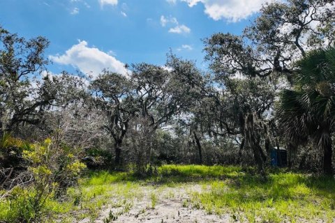 Terreno en venta en Cedar Key, Florida № 1634394 - foto 21