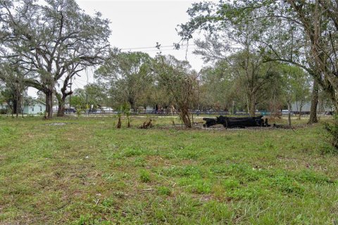 Immobilier commercial à vendre à Myakka City, Floride: 91.04 m2 № 2406562 - photo 14