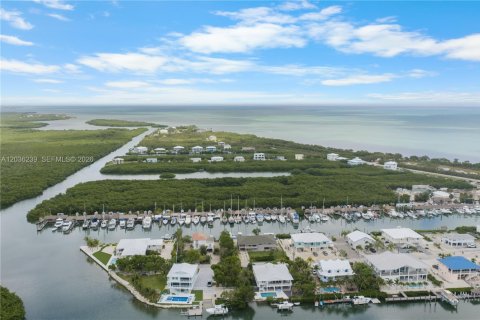 Villa ou maison à vendre à Marathon, Floride: 4 chambres, 275.36 m2 № 2084253 - photo 12