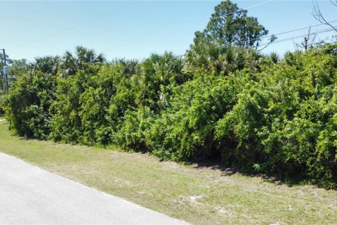 Land in North Port, Florida № 2162429 - photo 9