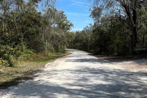 Land in Webster, Florida № 2161827 - photo 7
