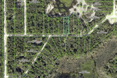 Land in Webster, Florida № 2161827 - photo 10