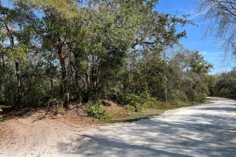 Land in Webster, Florida № 2161827 - photo 4