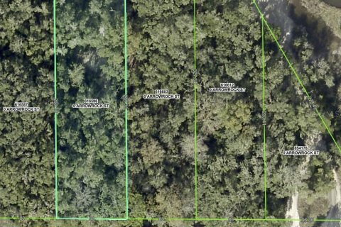 Land in Webster, Florida № 2161827 - photo 12