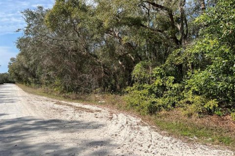 Land in Webster, Florida № 2161827 - photo 9