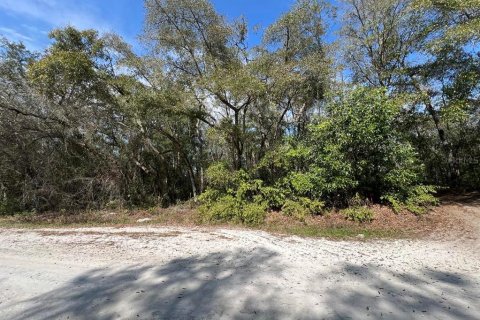 Land in Webster, Florida № 2161827 - photo 2