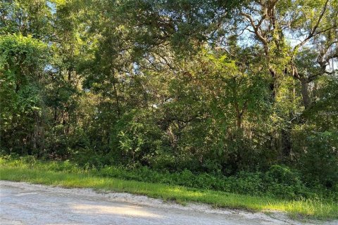 Land in Webster, Florida № 2161827