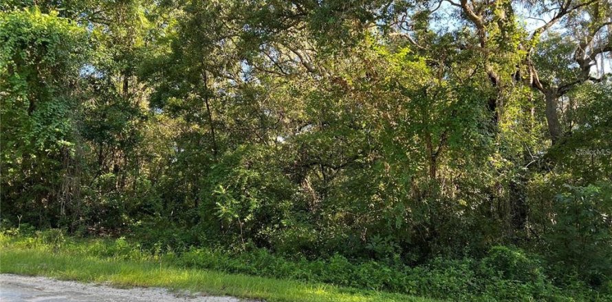 Land in Webster, Florida № 2161827