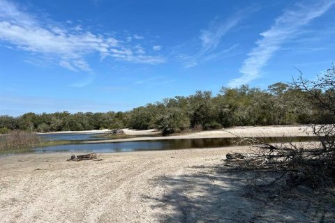 Land in Webster, Florida № 2161827 - photo 5