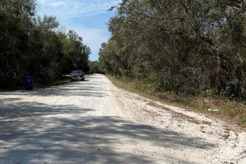 Land in Webster, Florida № 2161827 - photo 8