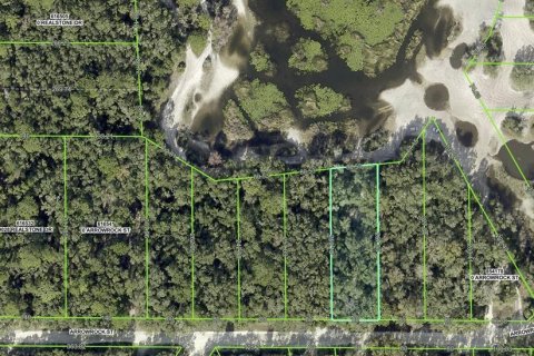 Land in Webster, Florida № 2161827 - photo 11