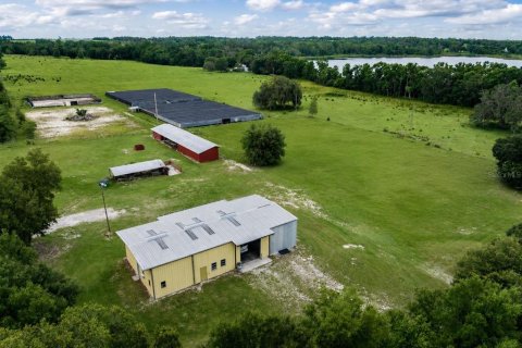 Commercial property in San Antonio, Florida № 2236129 - photo 3
